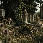 À Chambrecy, le cimetière militaire italien inquiète par son manque d’entretien