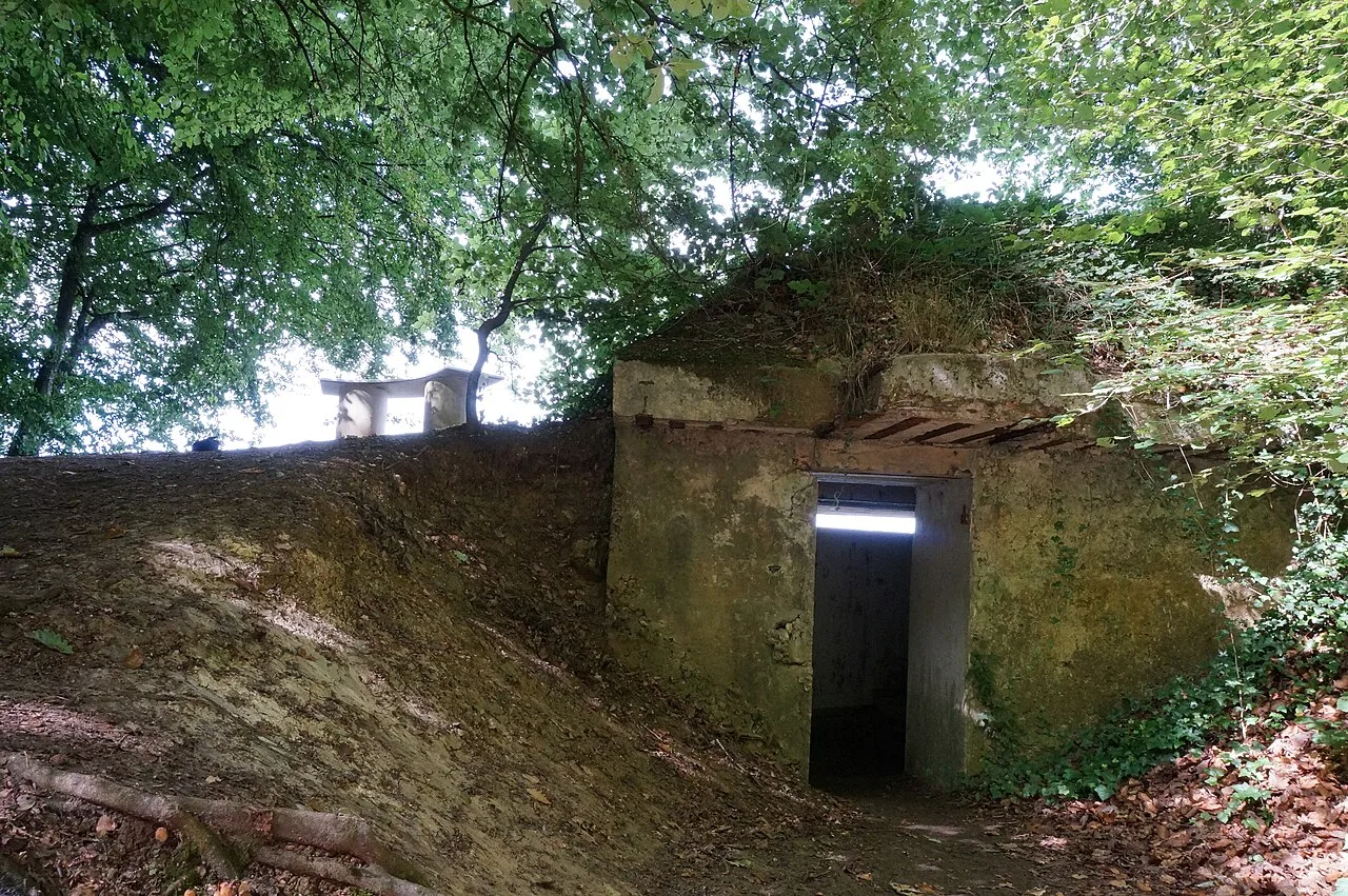 Observatoire du Mont Sinaï (Verzy)